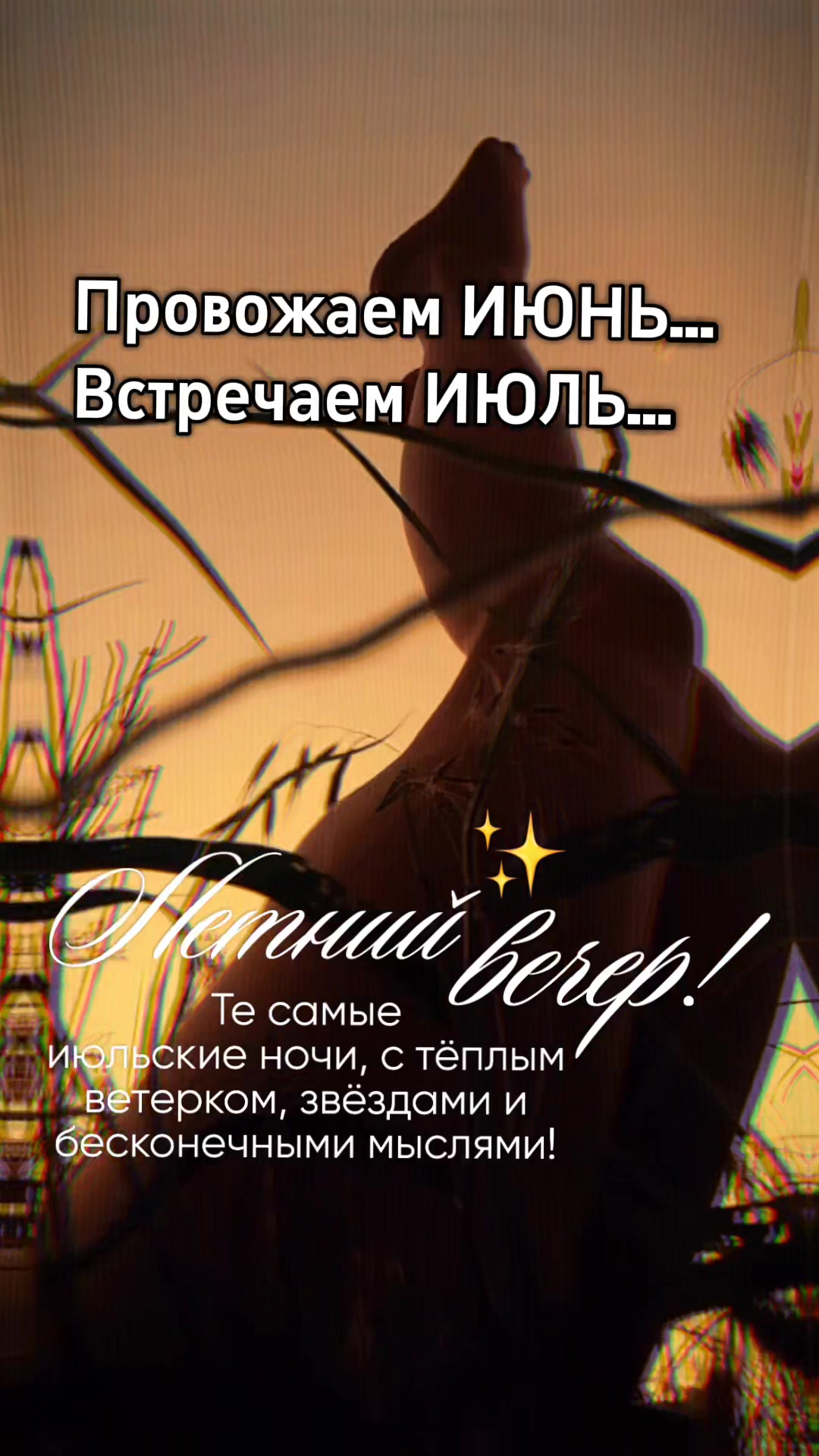 @☆꧁✬◦.𝒱.𝒮𝒽 .✬꧂☆