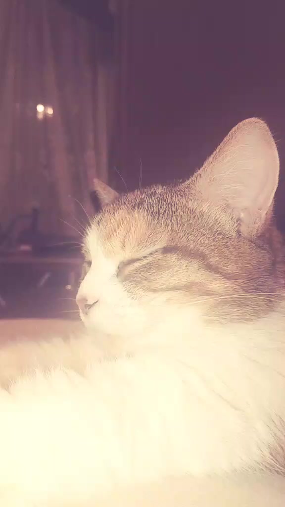 @~ SunNastya🥷🏼🦋