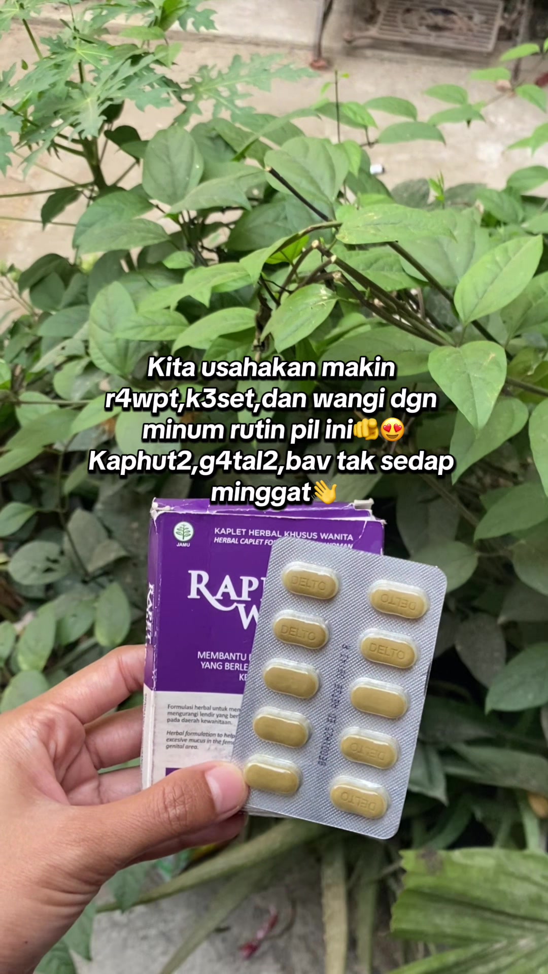 @fifi