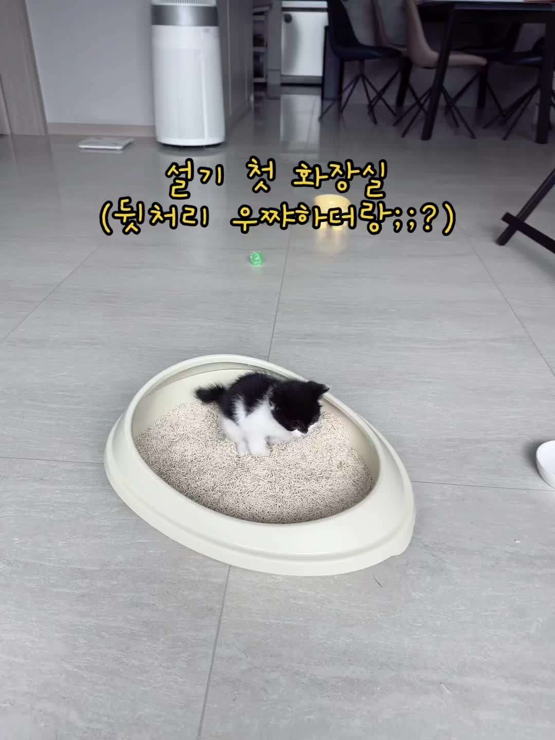 @๐ฝ์ฝฉ์ค๊ธฐ๐ฝ