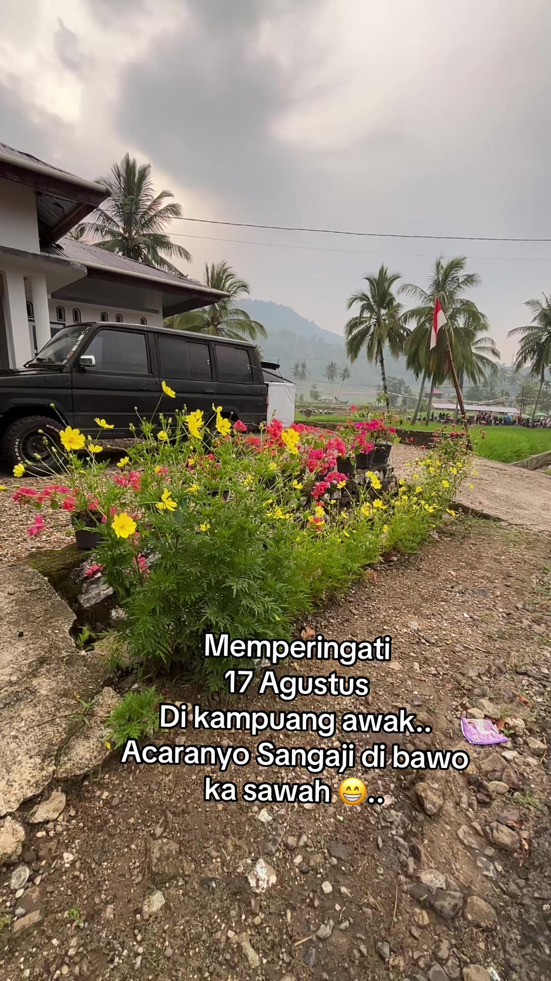 @Mi Amy781