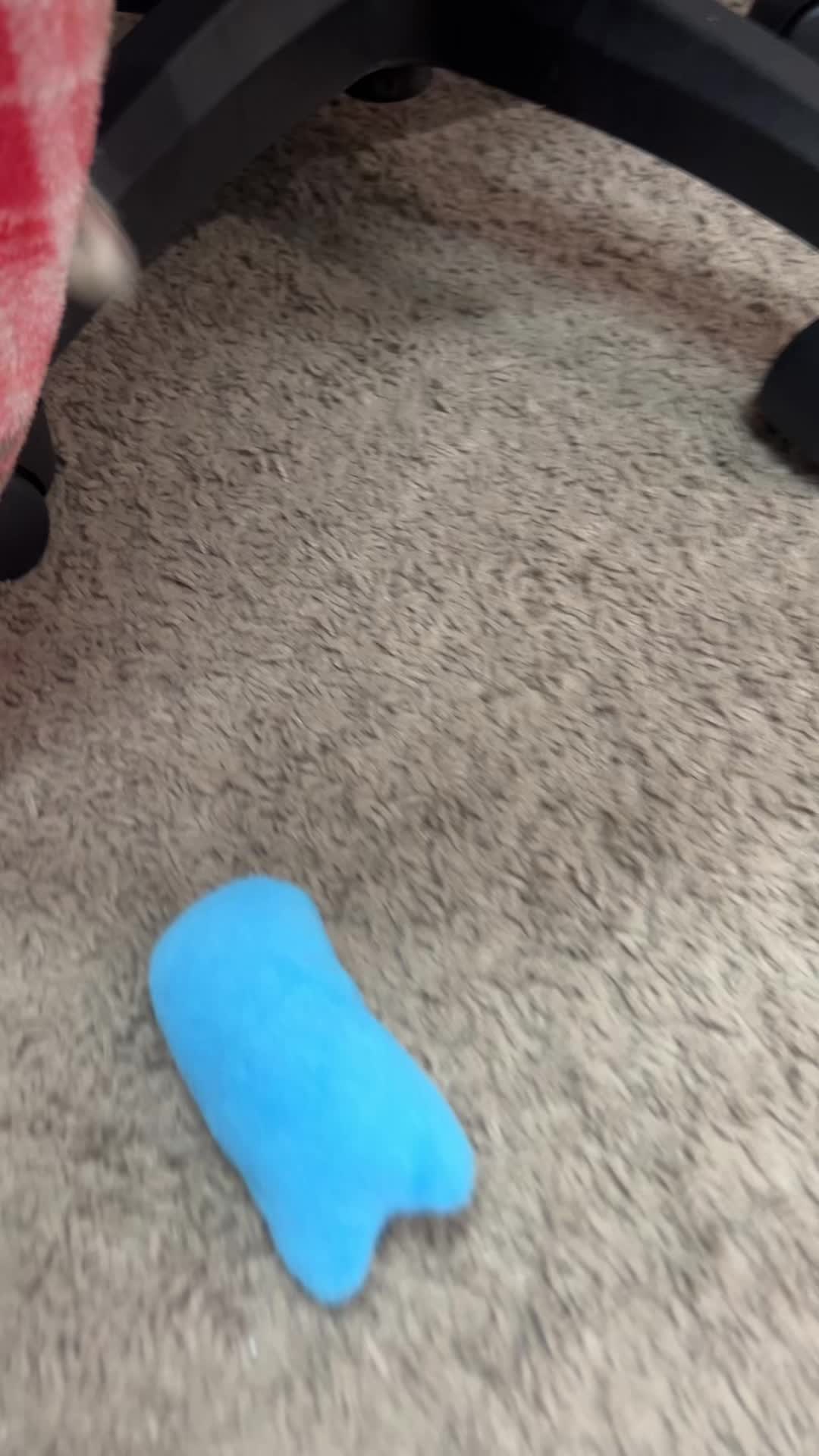 @shelbyspng
