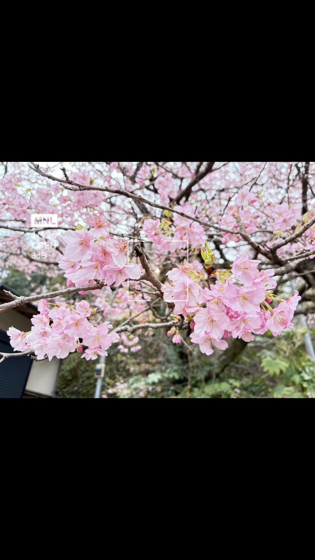 @🐼sao🐼