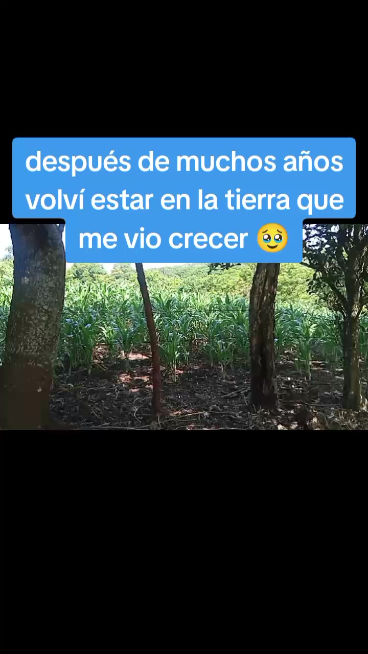@elda Chipol
