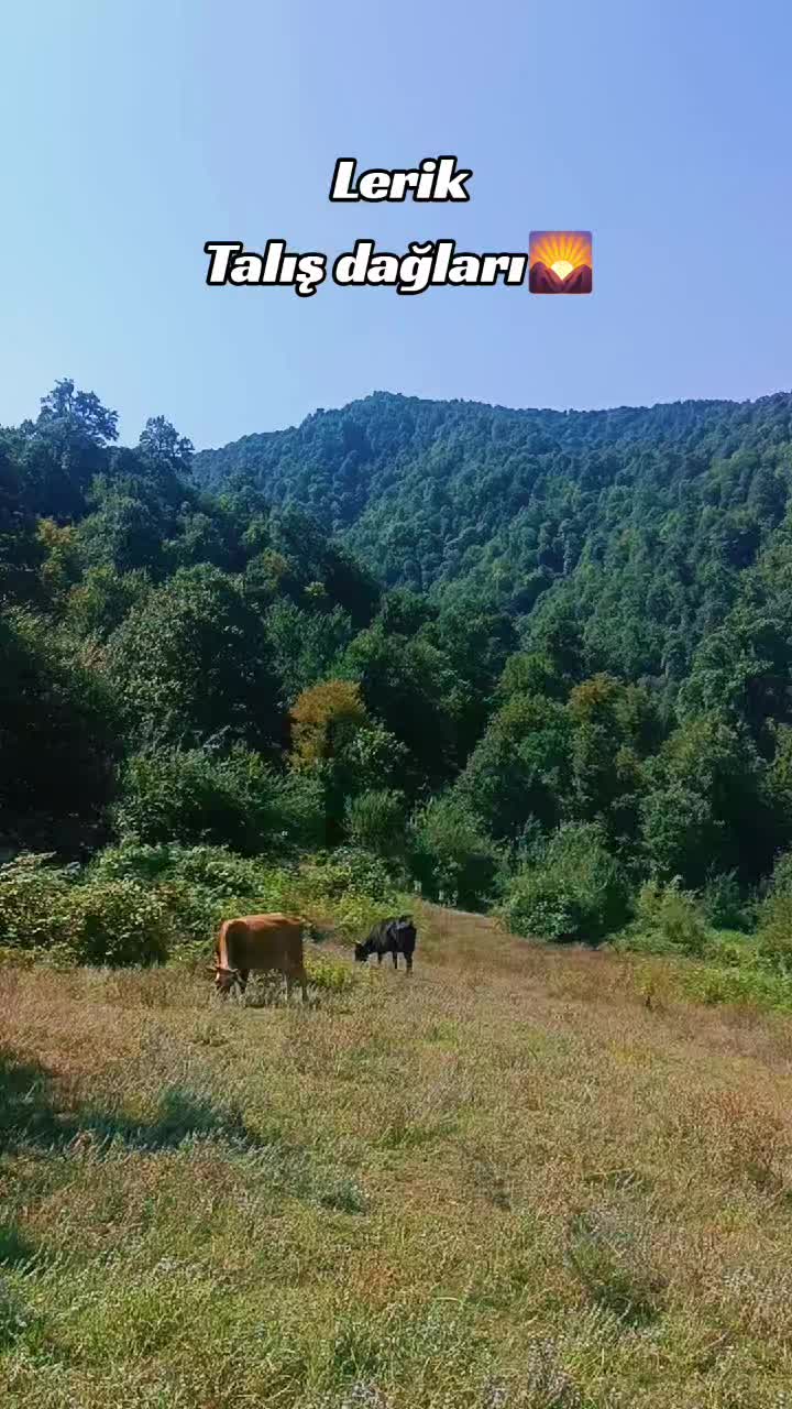@𝐄𝐥𝐯𝐢𝐧 𝐑𝐳𝐚𝐳𝐚𝐝ə