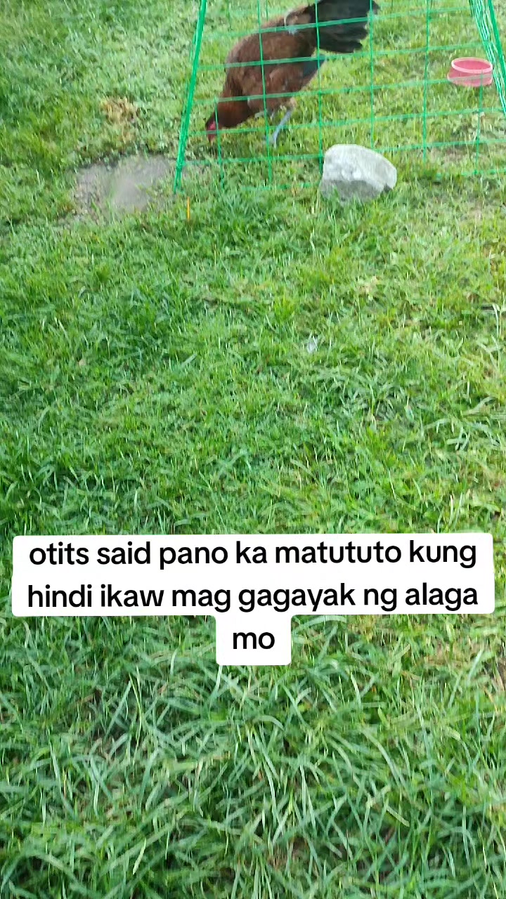 @kaymark alejandro