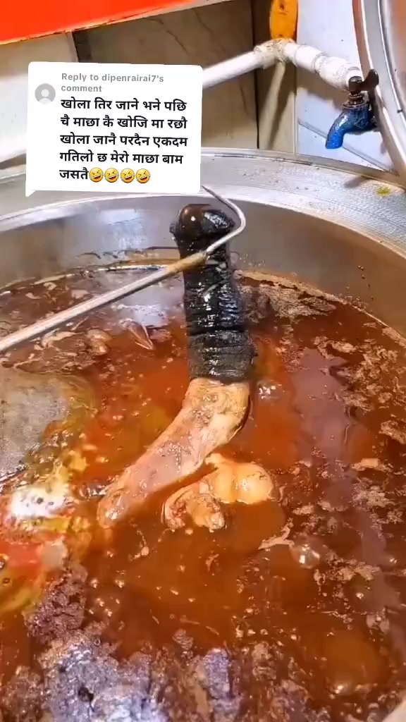 @मोहीनी❤️