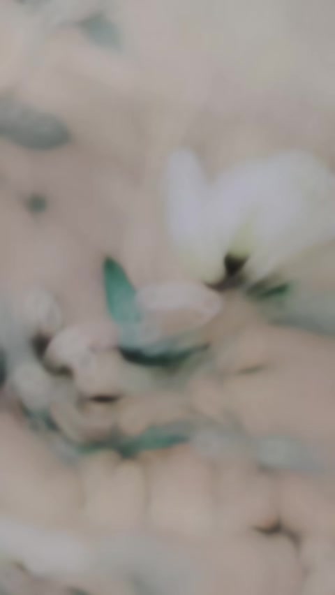@❣️༒𝓜𝓲𝓼𝓼 𝓵𝓪𝔂𝓵𝓪༒꧂❣️