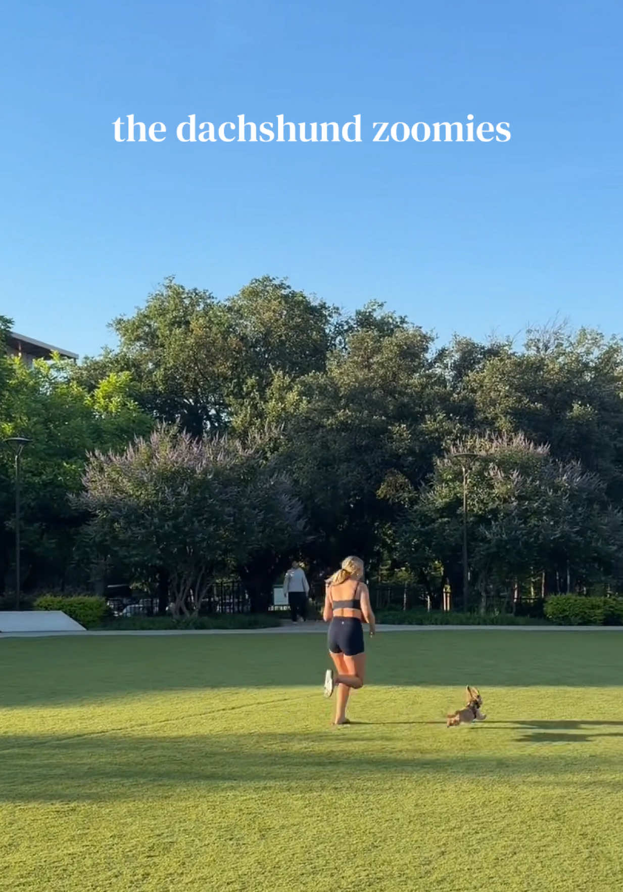 @lexigroberts