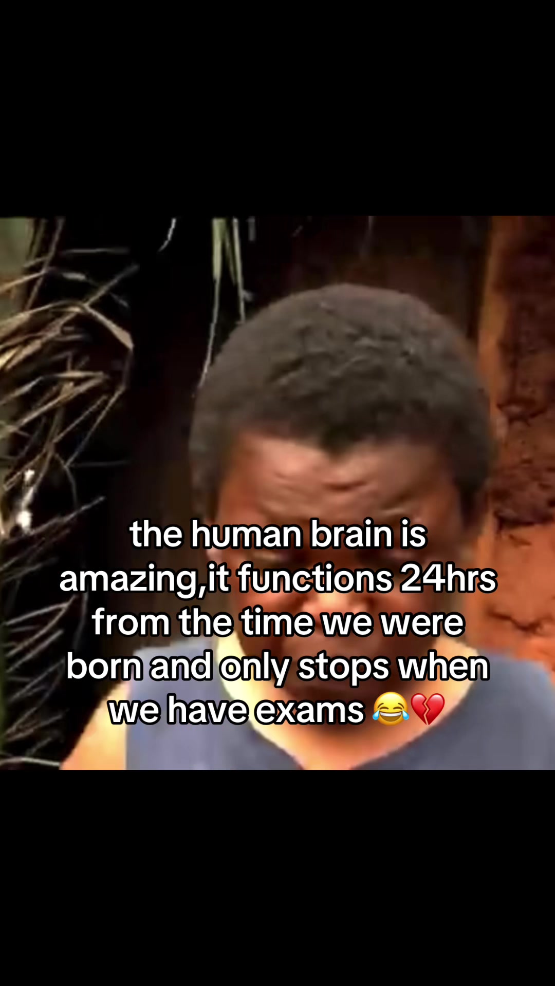 @Daveytv memes