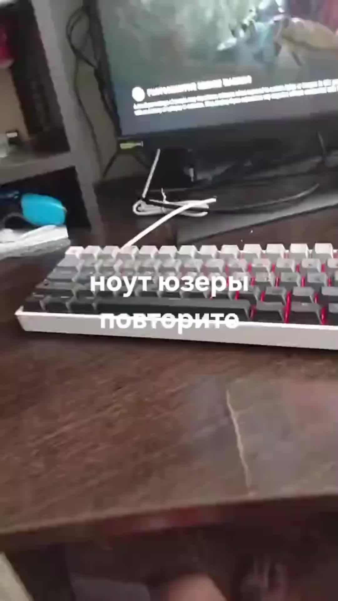 @Шарк - балбес