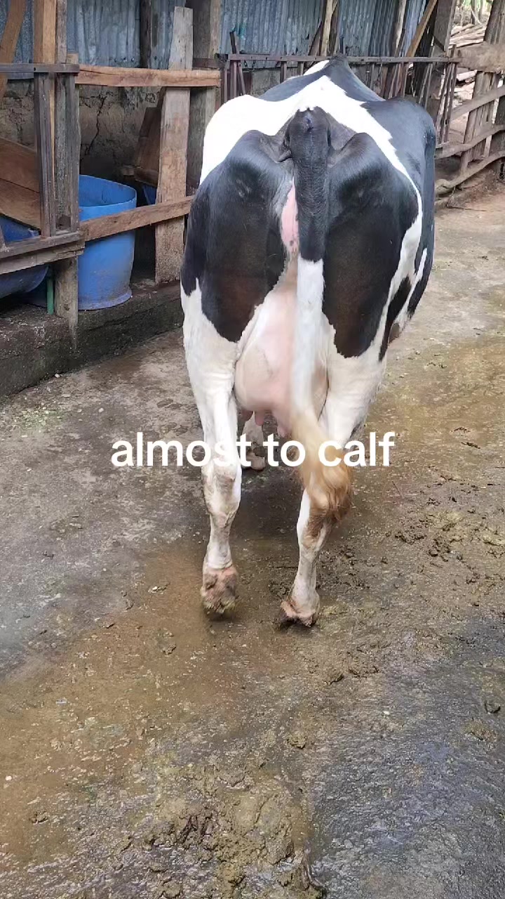 @NELWA REAL FARM