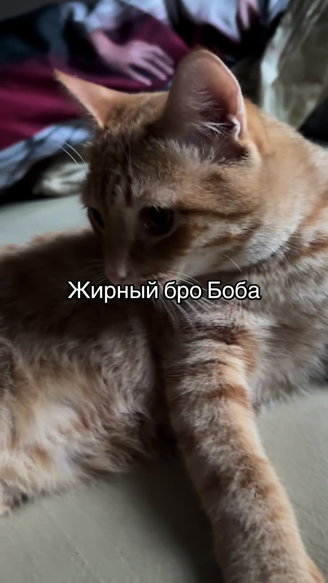 @кастрюля