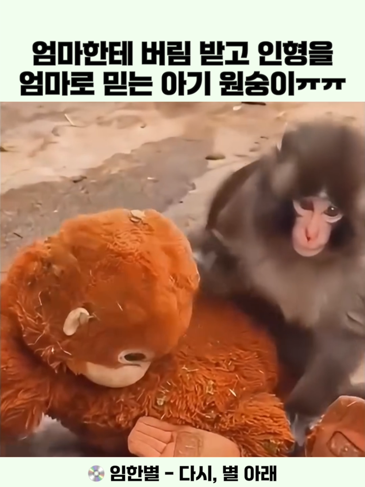@이슈 퀵스캔