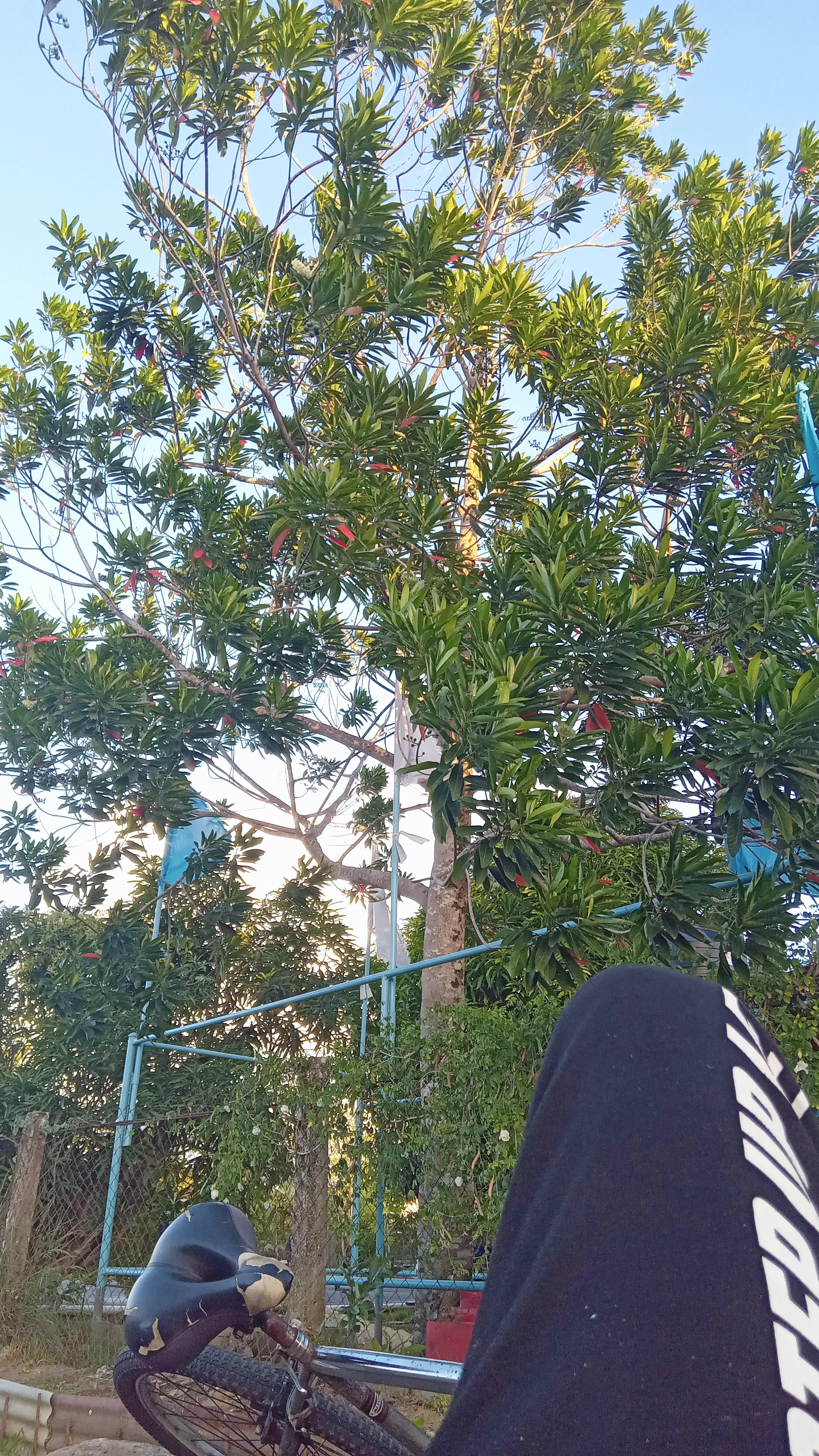 @Maha Rampartap