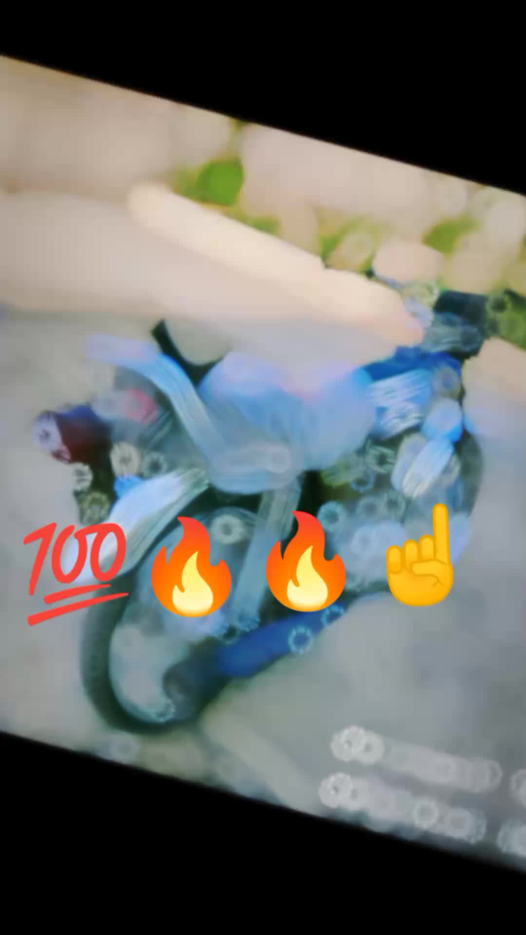 @Aqib Ali