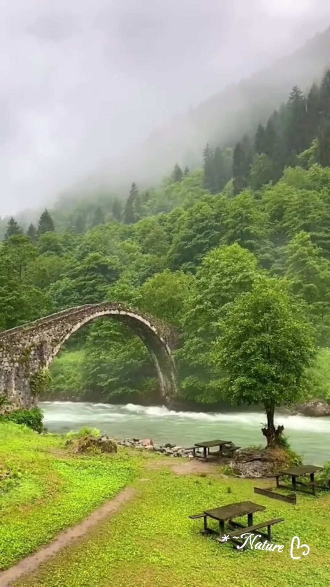 @*~Nature ᥫ᭡