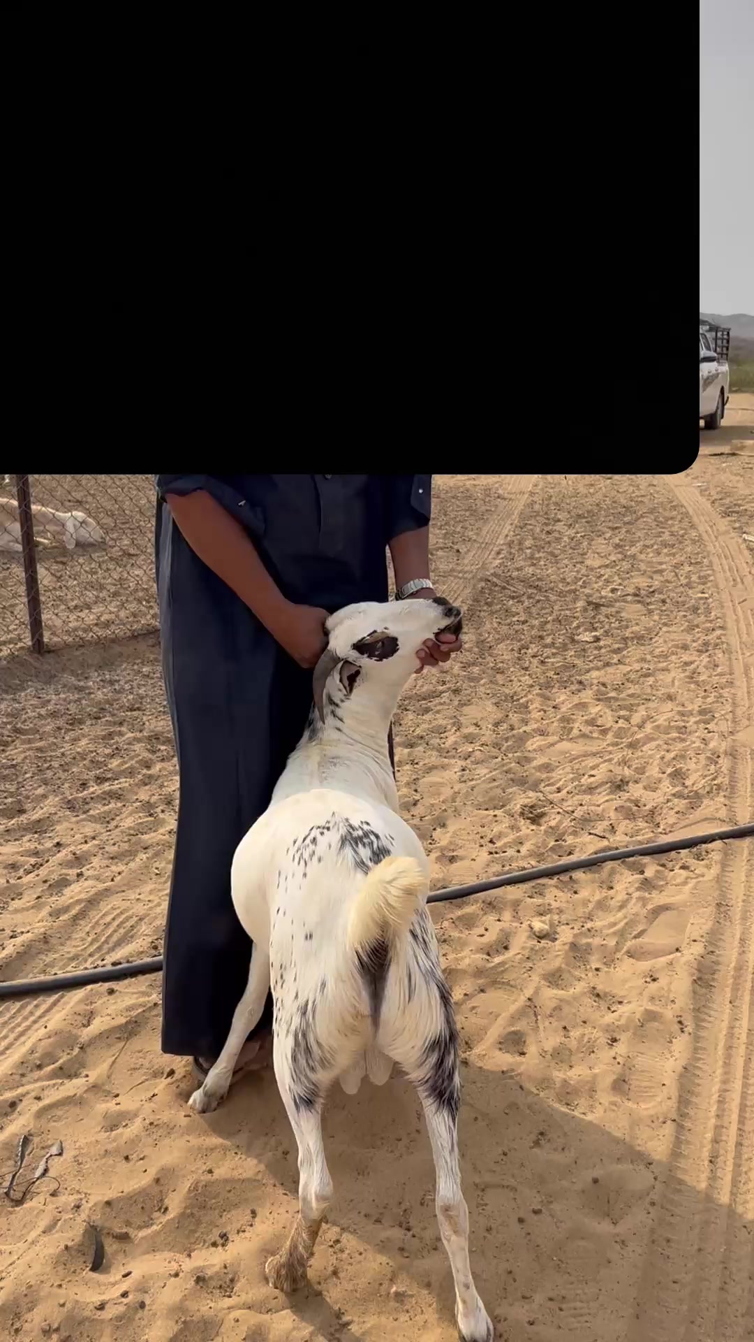 @محمد