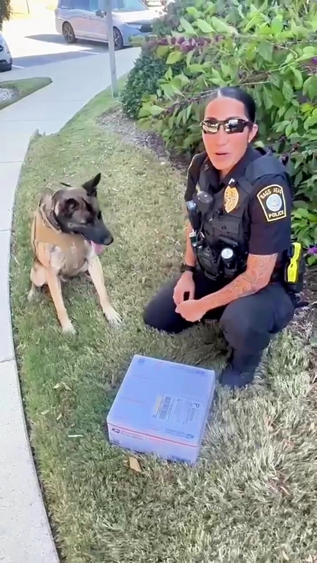 @Vested Interest in K9s, Inc.