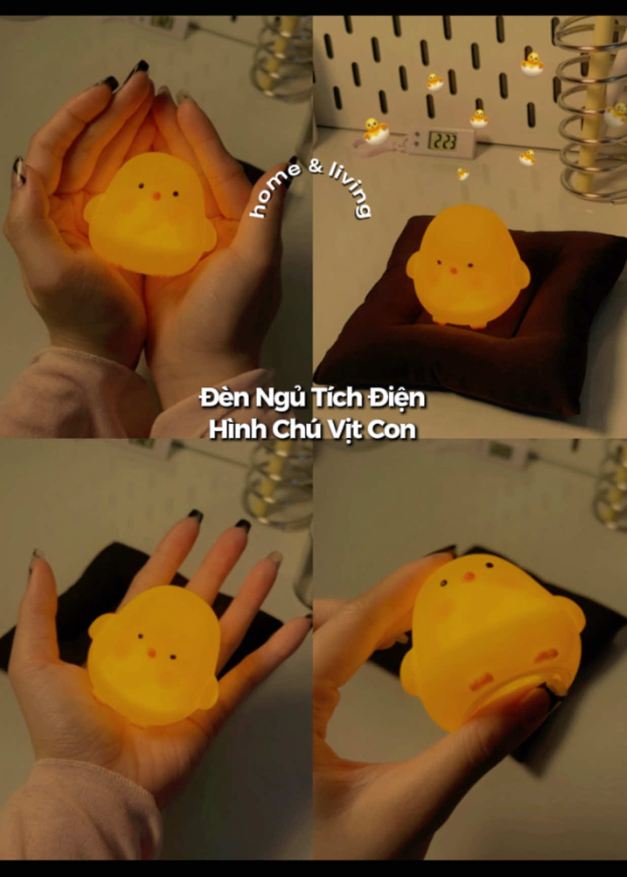@٠࣪⭑ Hui Yin Chuột Bạch Ი︵𐑼