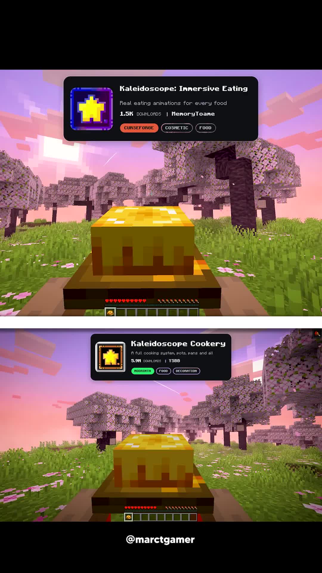 @marctgamer