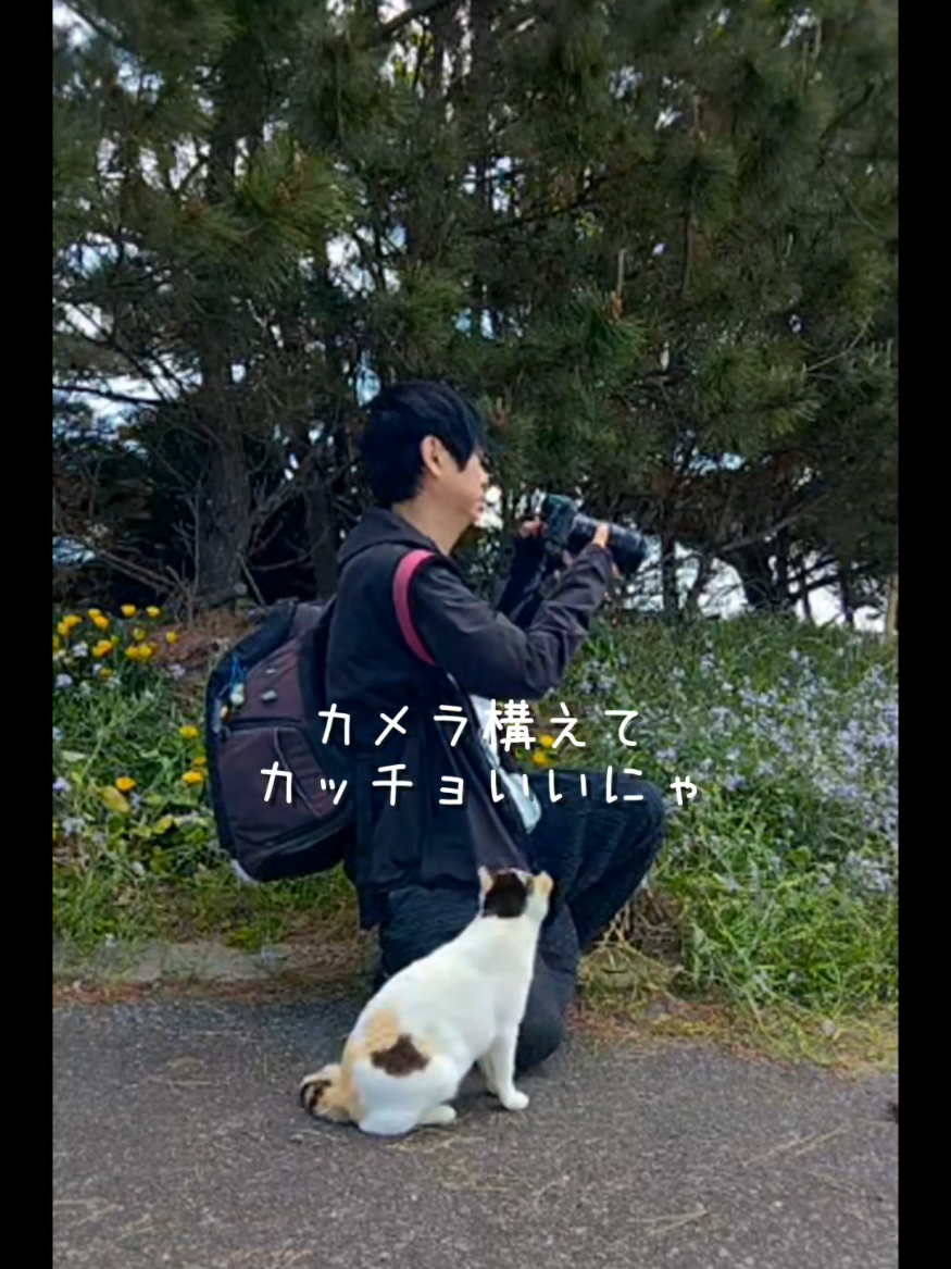 @猫写真家 森永健一