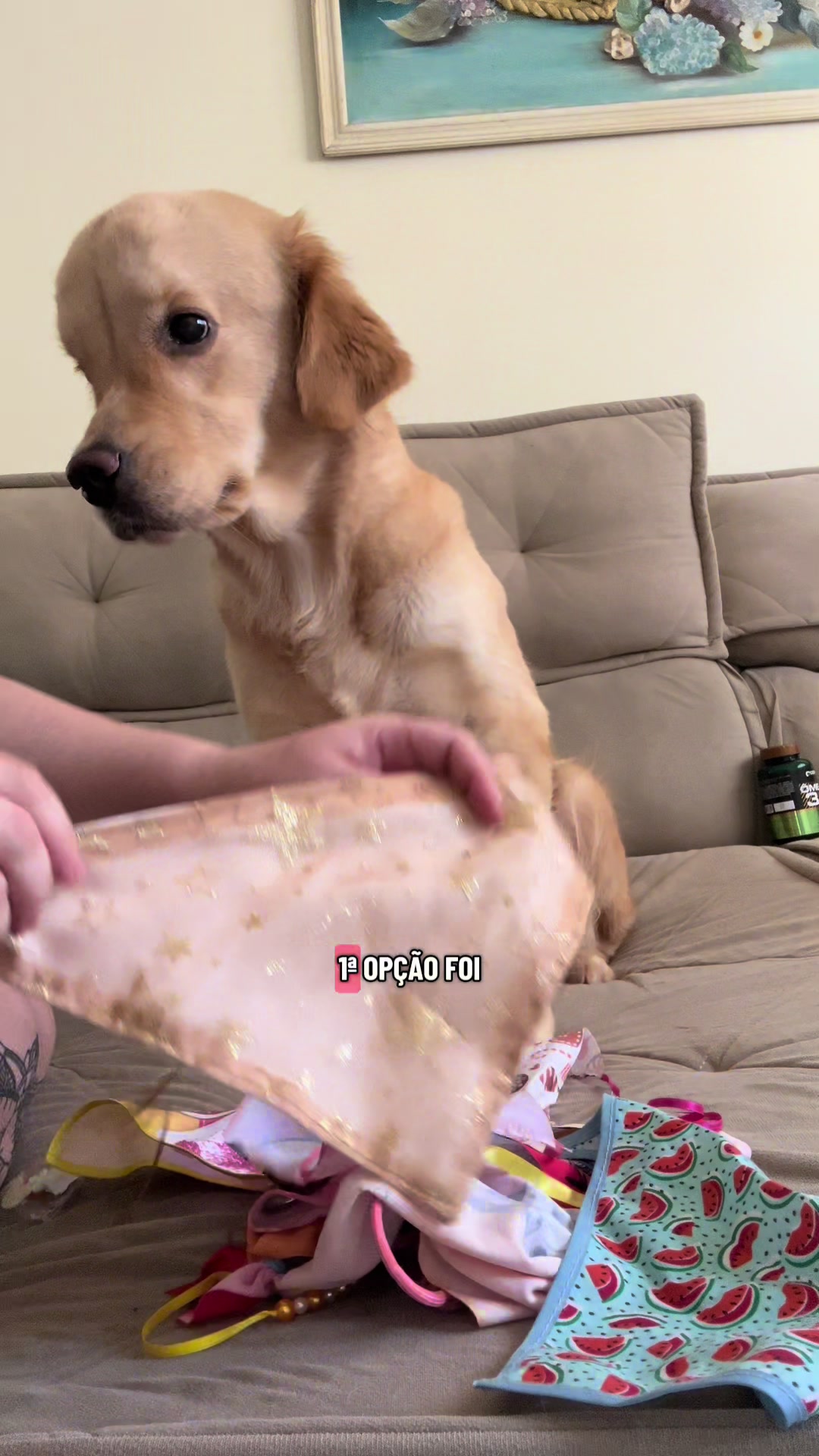 @Docinho, a golden especial.