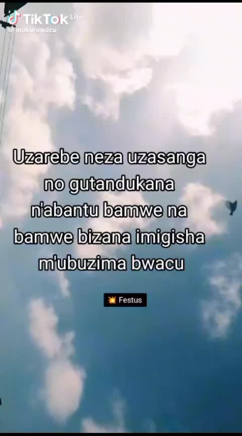 @lyani