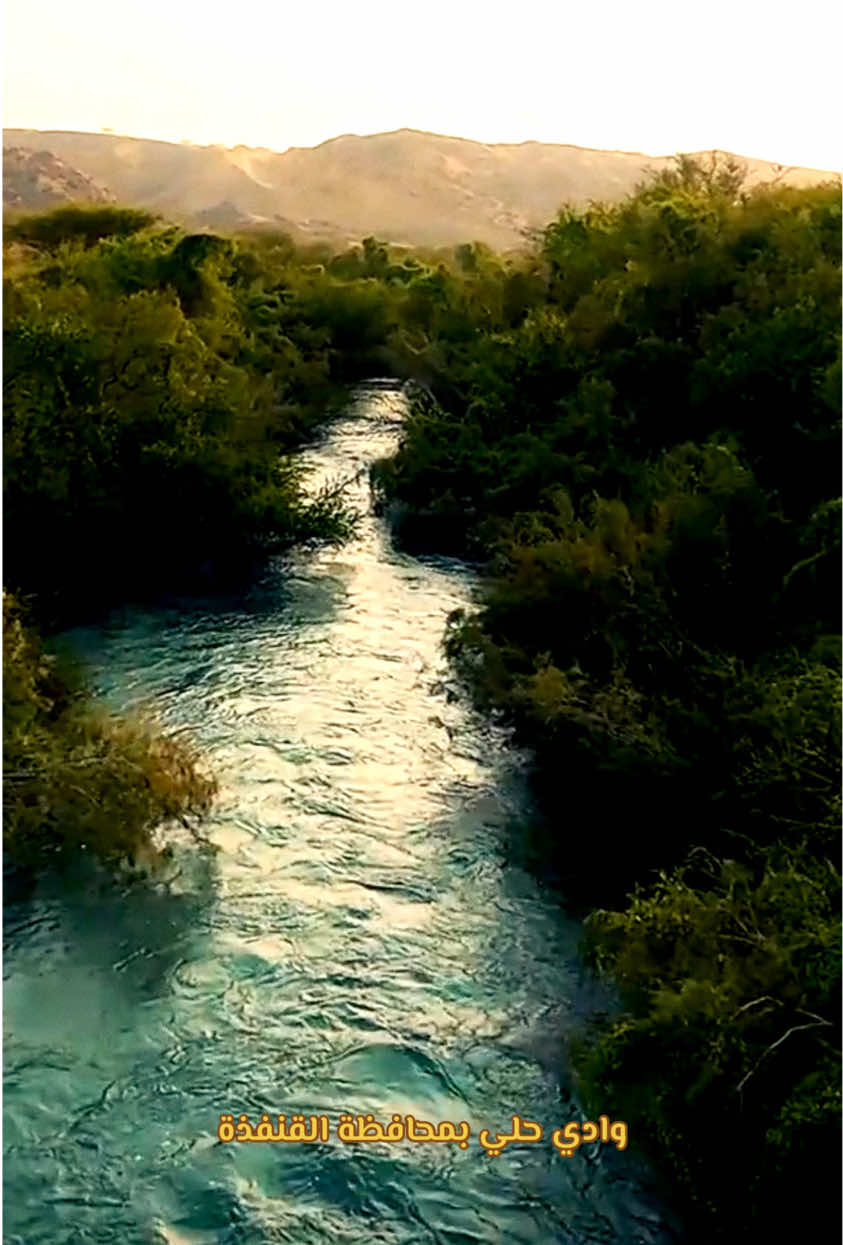 @هادي العلواني القنفذة