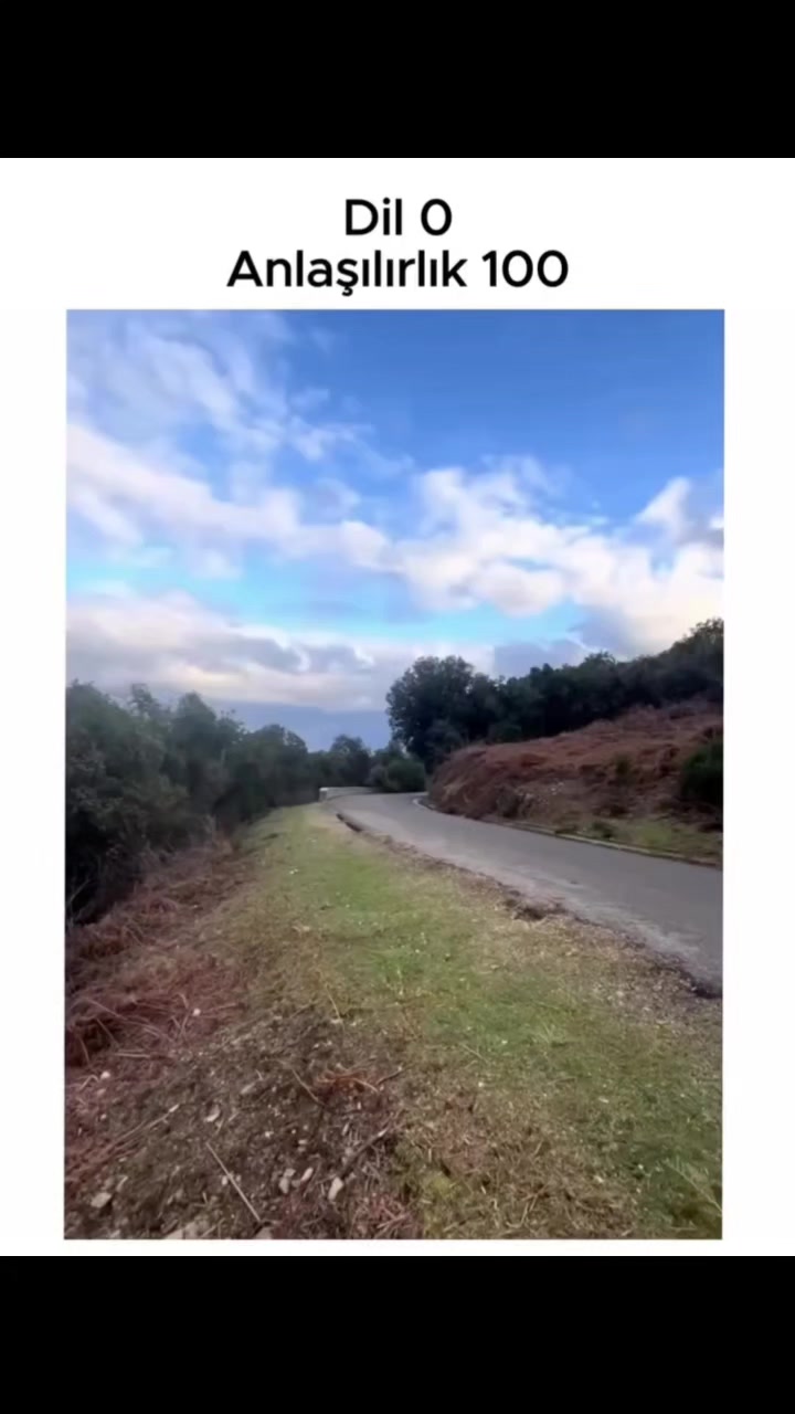 @aselim