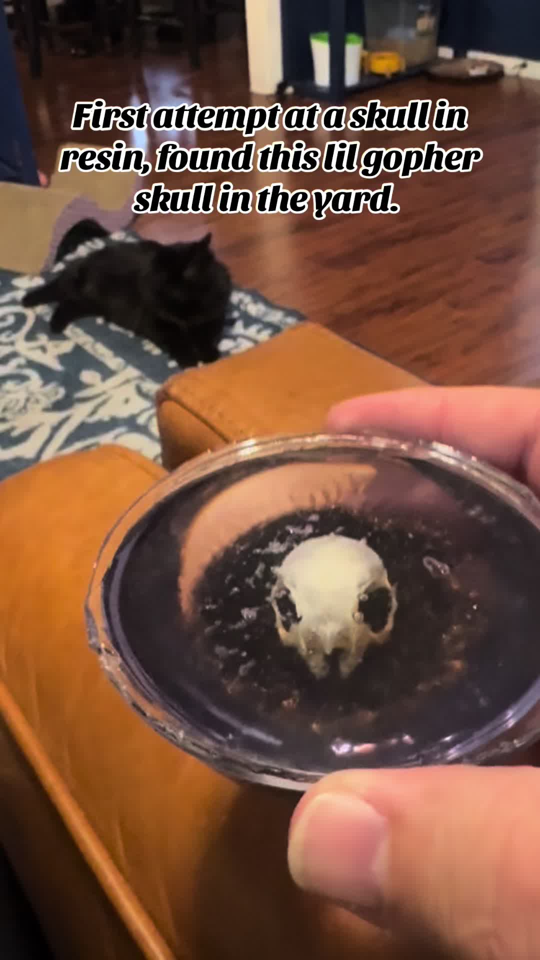 @Johndoooooh