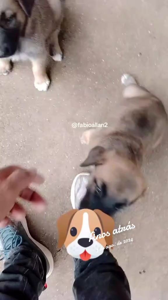 @Fábio Allan