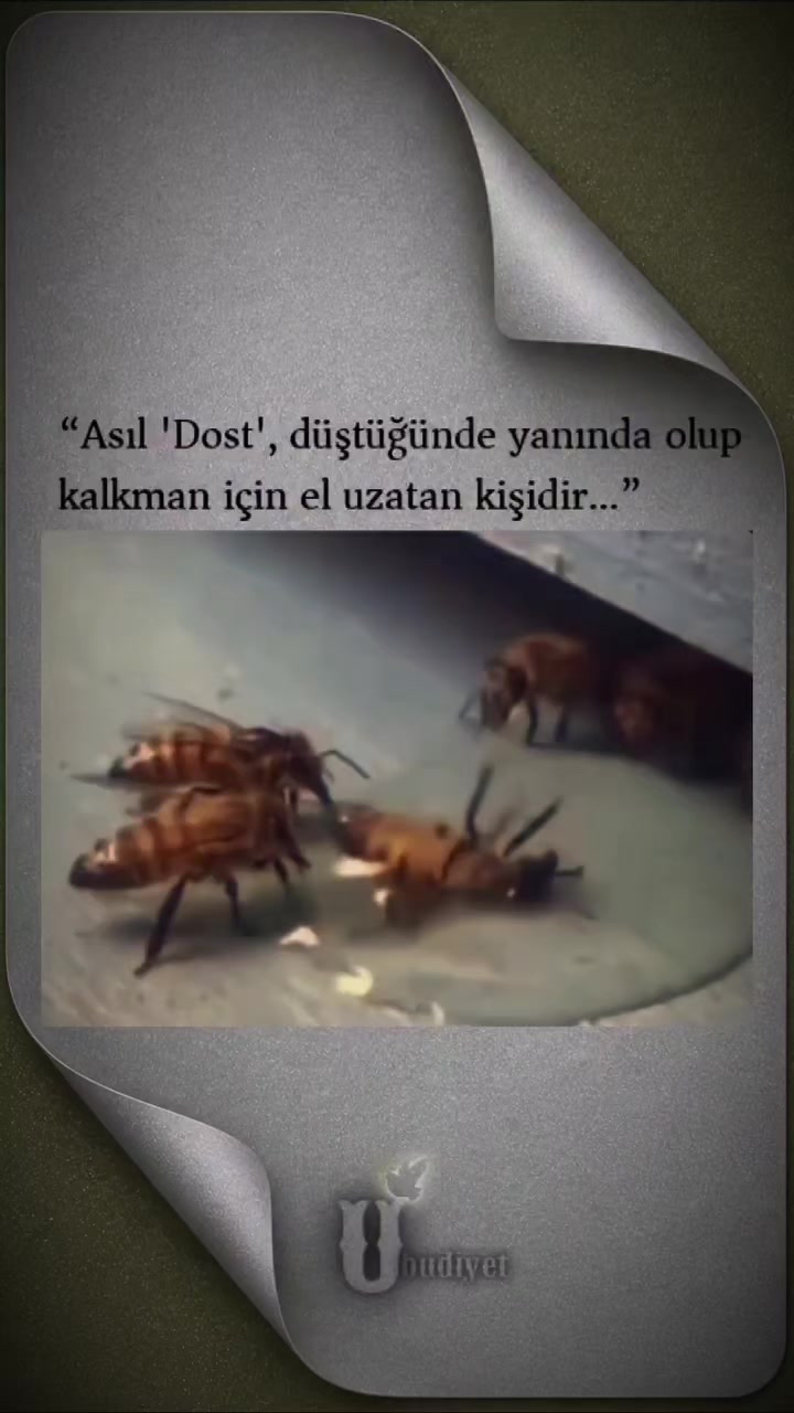 @Elmir Heseneliyev