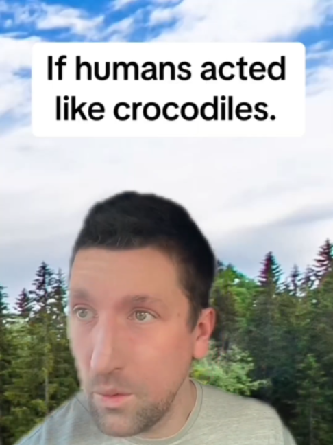 @mrzanderblue