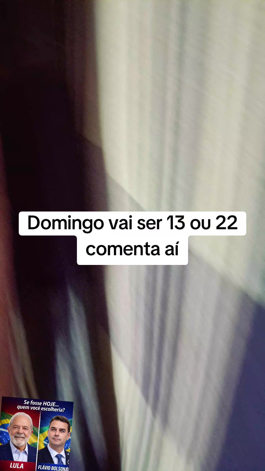 @gata jato