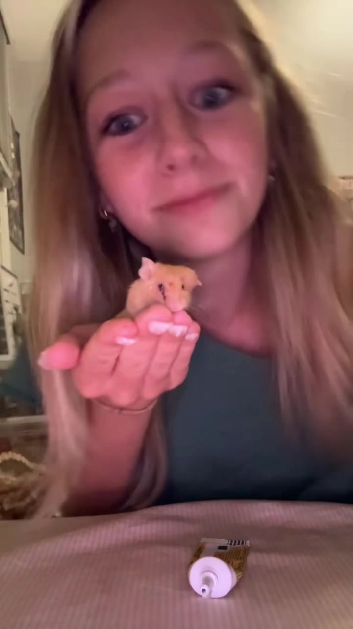 @thatweirdanimalgirl