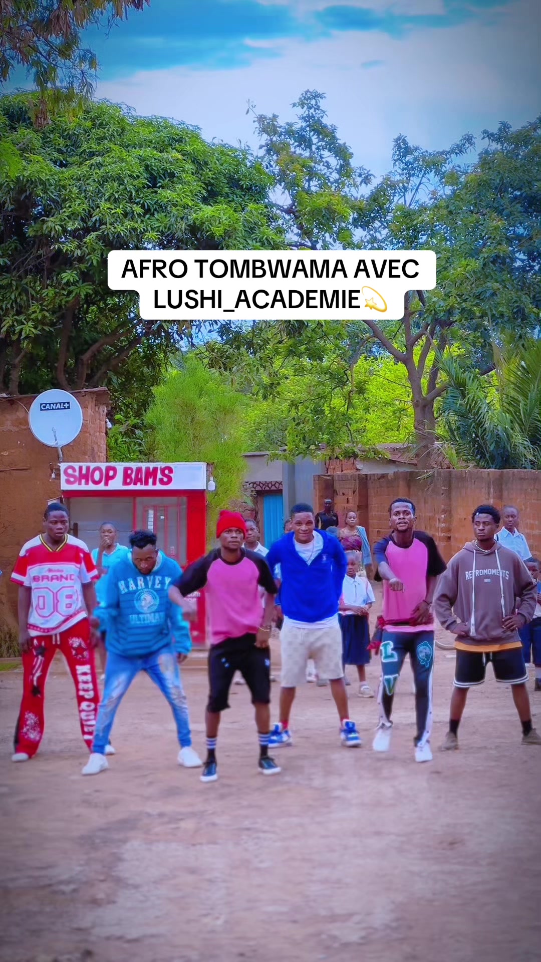 @LUSHI_ACADEMIE✔