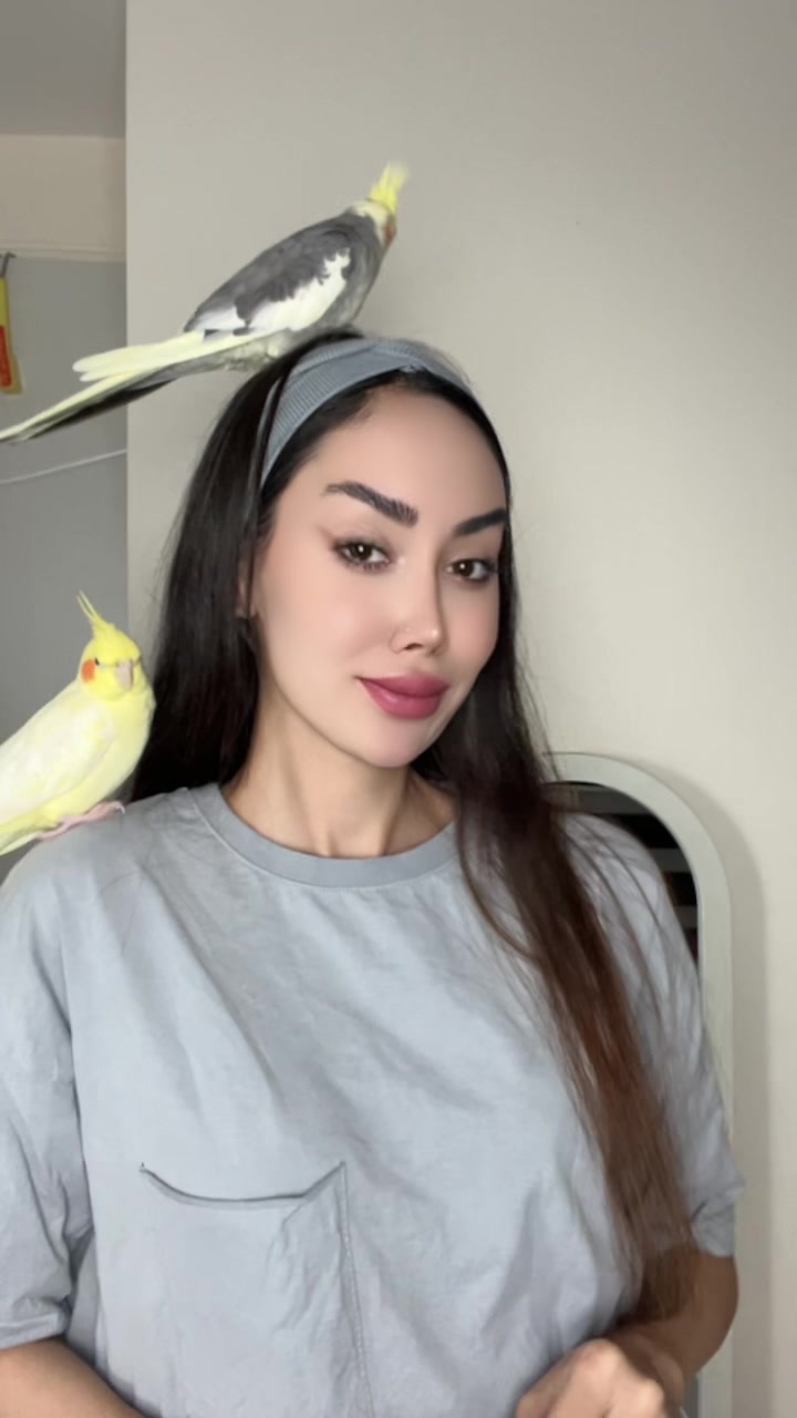@frnzmohmdi