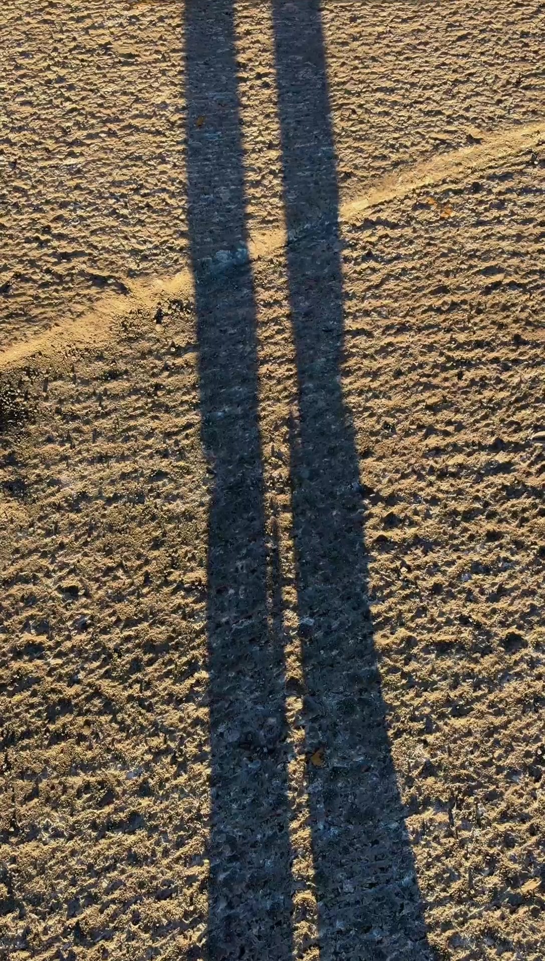 @Nilofar 🇺🇲