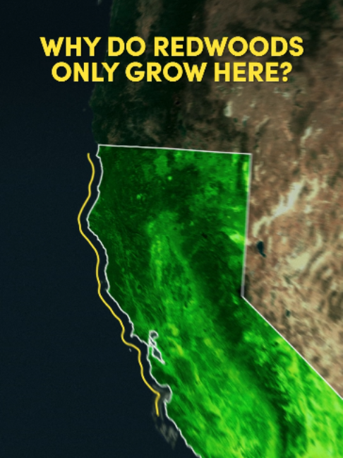 @Uncovering California
