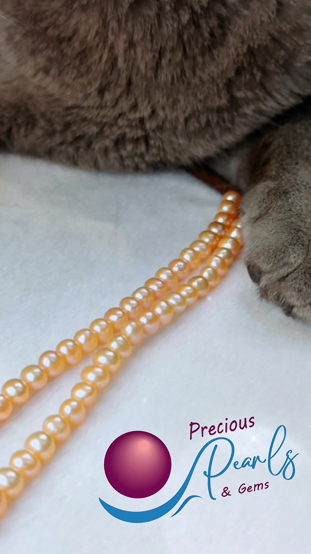 @The Precious Pearls and Gems