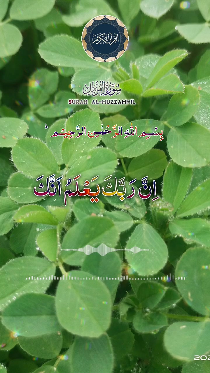 @shankhan