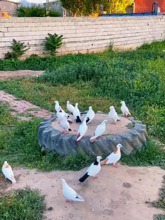 @Özkan Ulurak