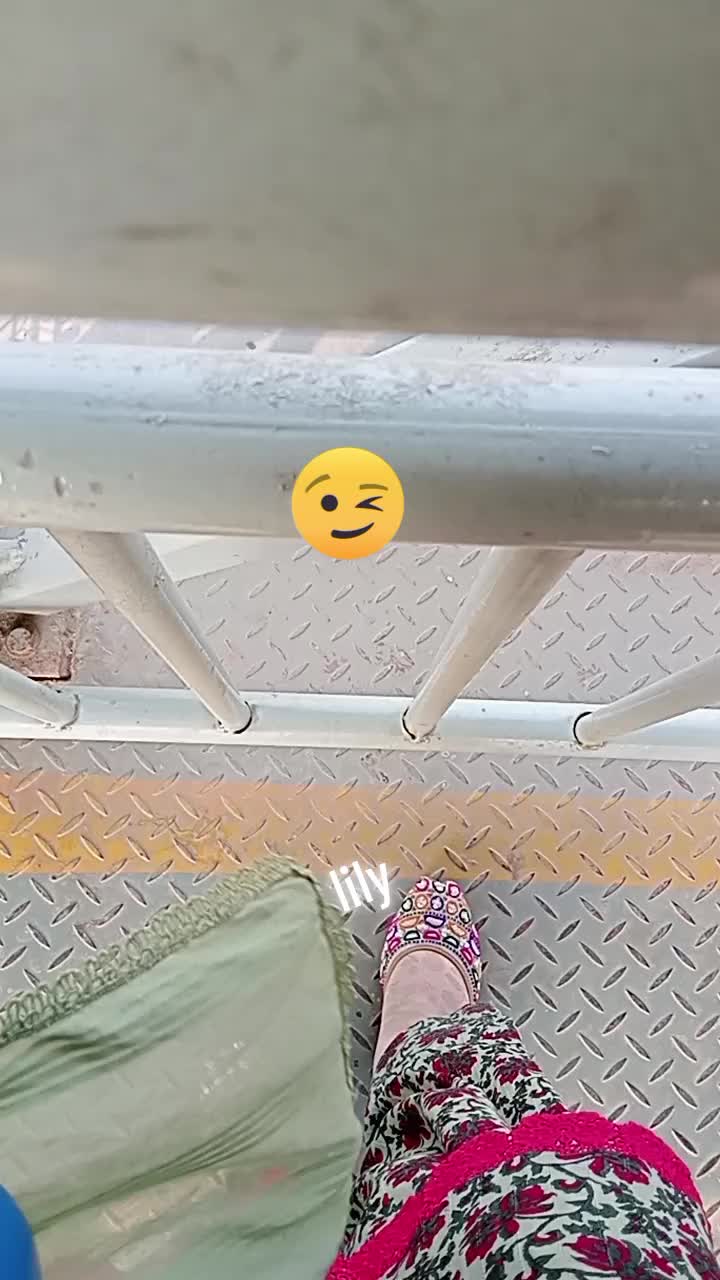 @lilylily4444