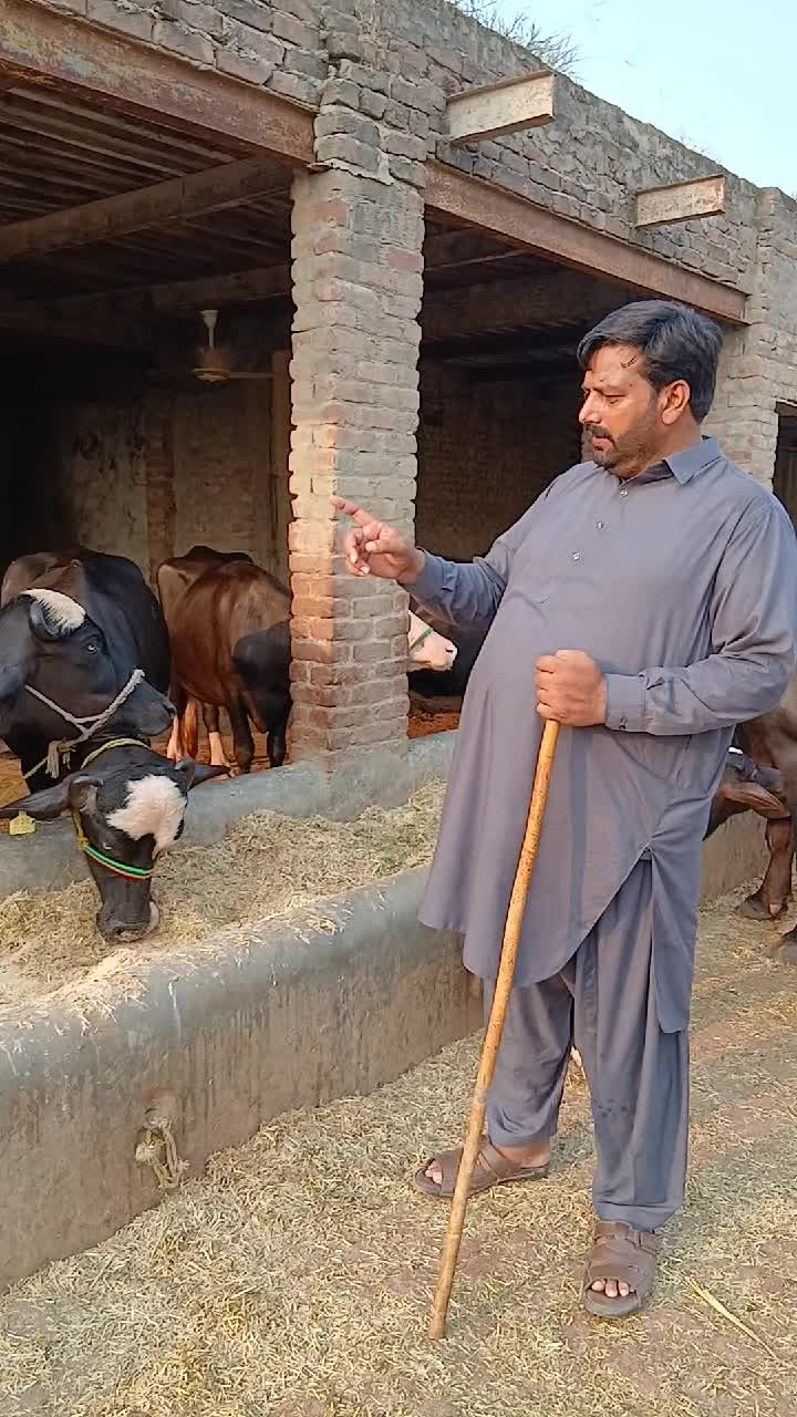 @Farming and Business Ideas