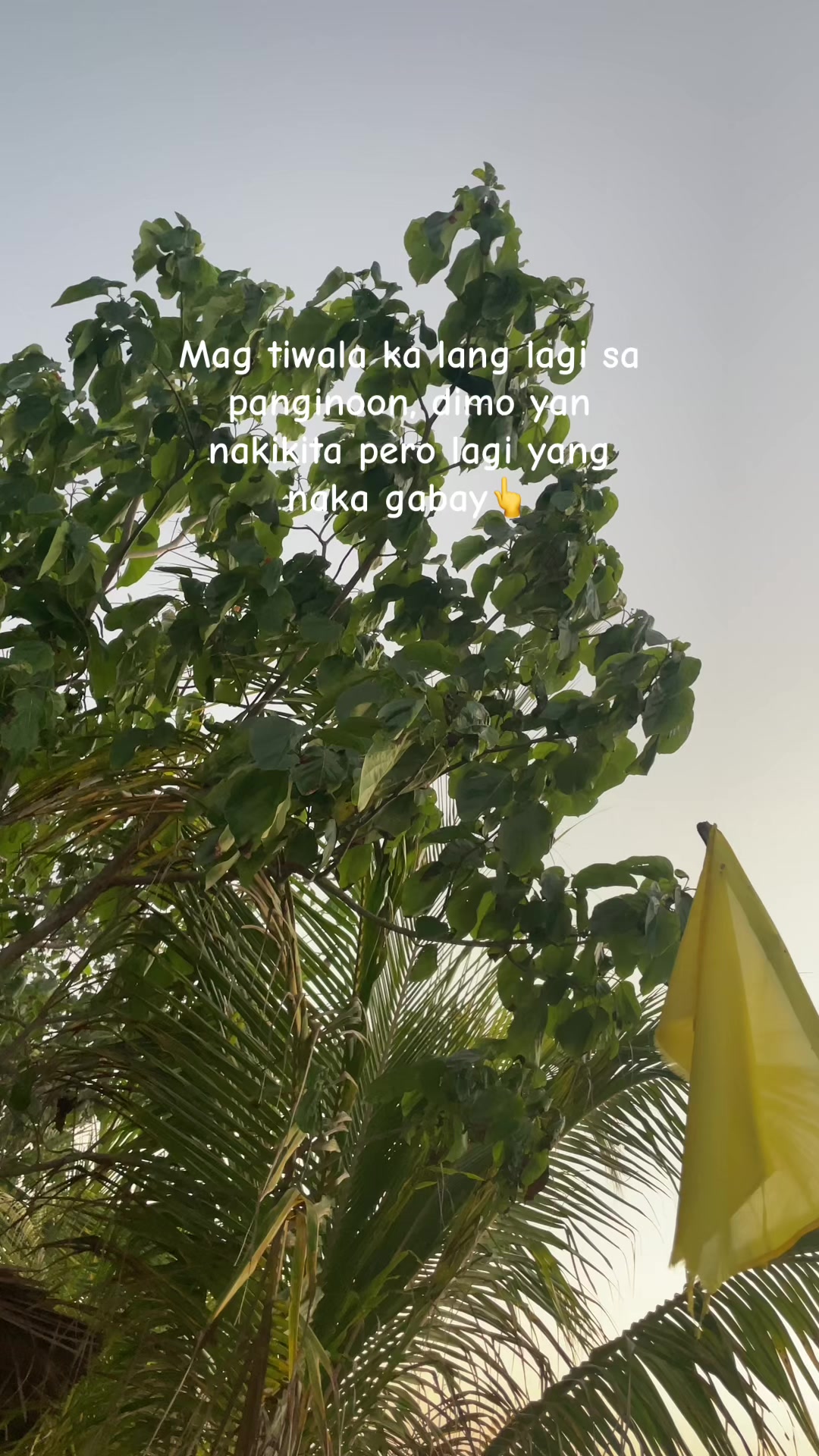 @kierosen.