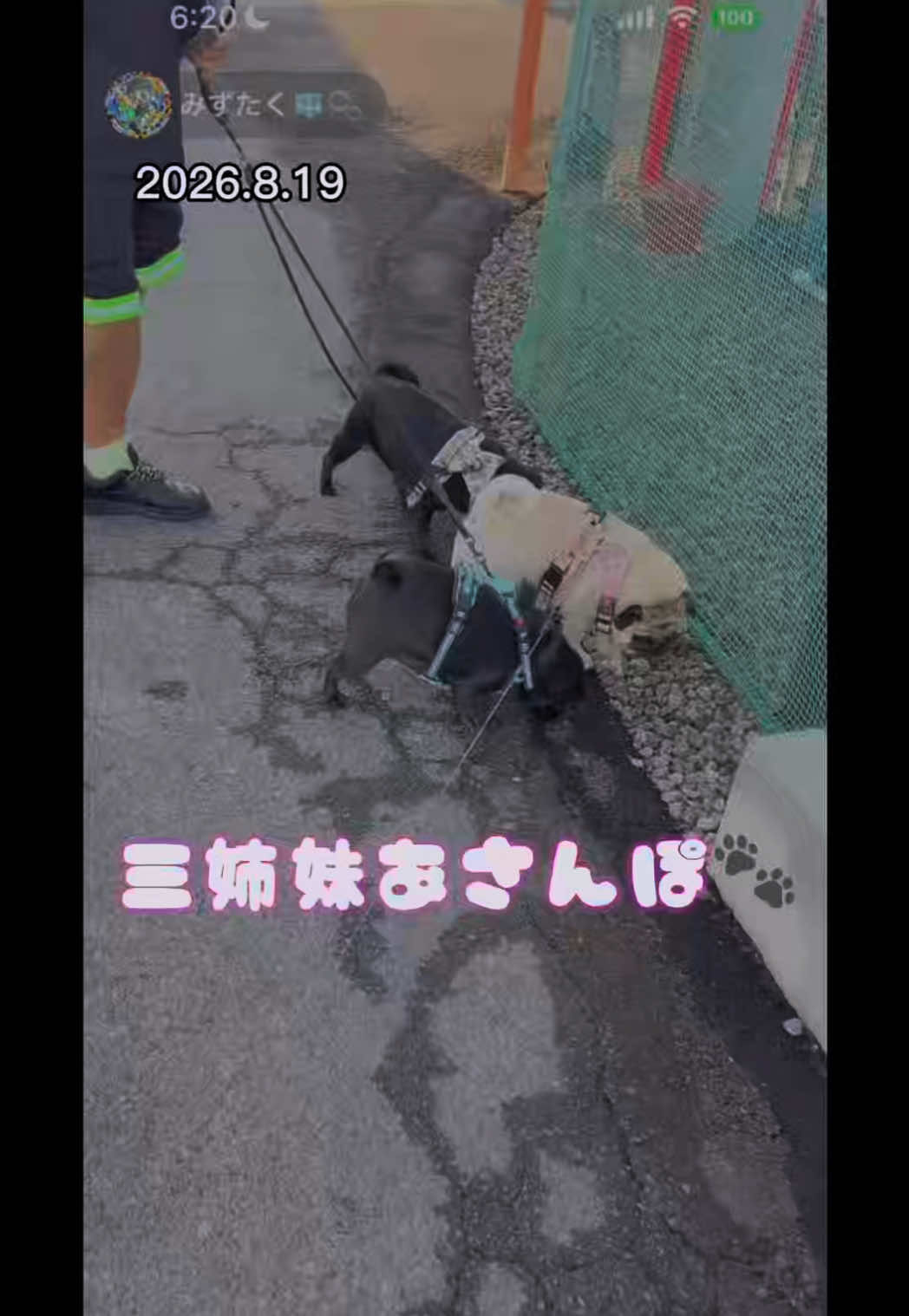 @すずか🧊🫧