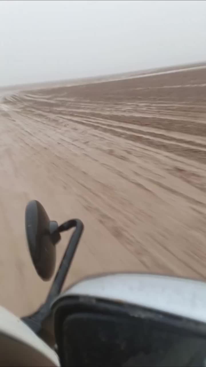 @سعود_ القحطاني