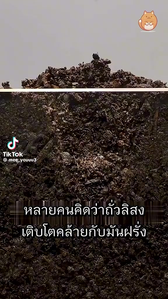 @ตุ้ม จันทาพูน