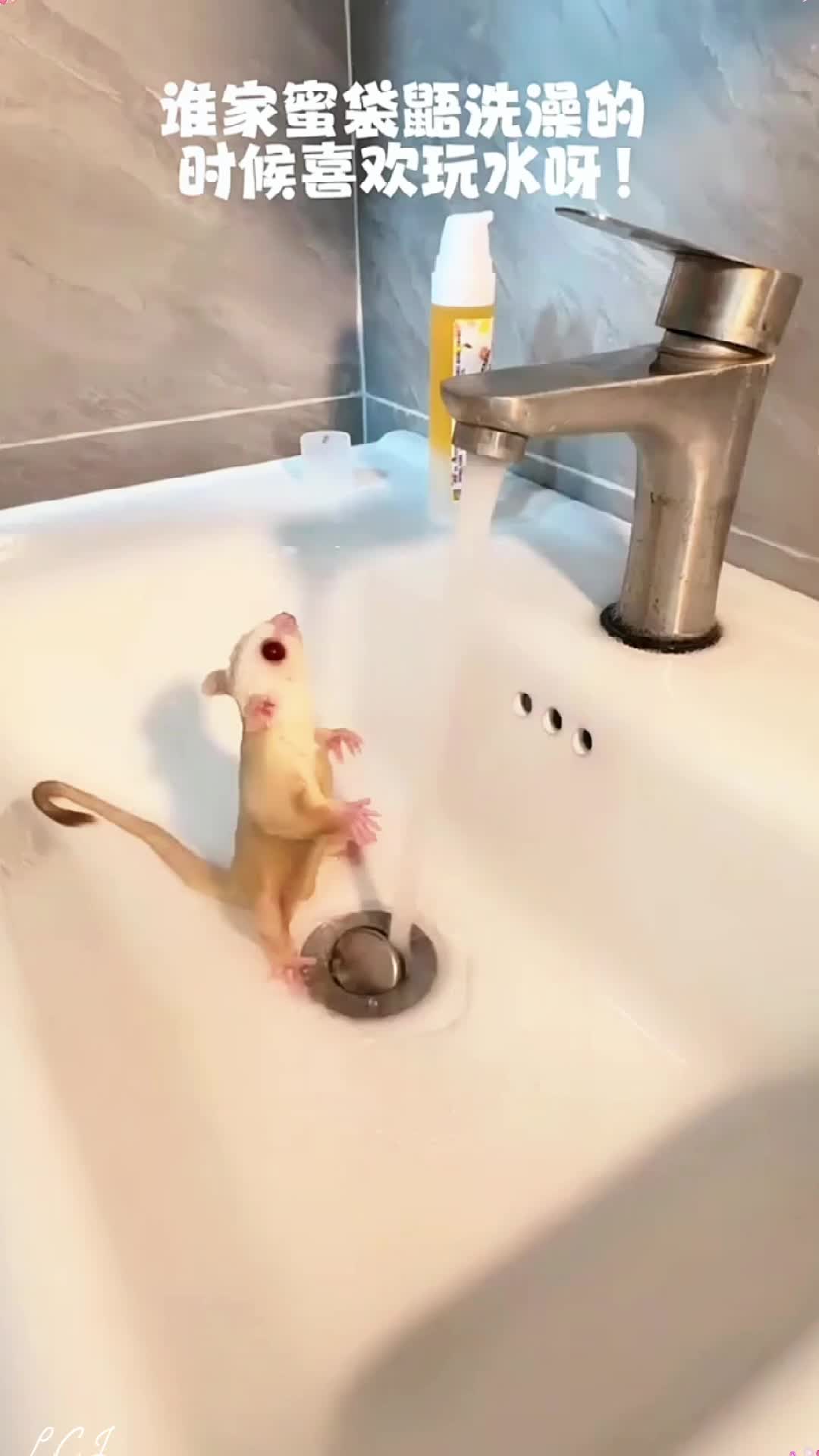 @sturgfzrp8k
